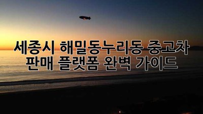세종시 해밀동·누리동 중고차 판매 플랫폼 완벽 가이드!