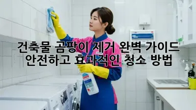 건축물 곰팡이 제거 완벽 가이드: 안전하고 효과적인 청소 방법