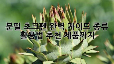 분필 초크펜: 완벽 가이드! 종류, 활용법, 추천 제품까지!